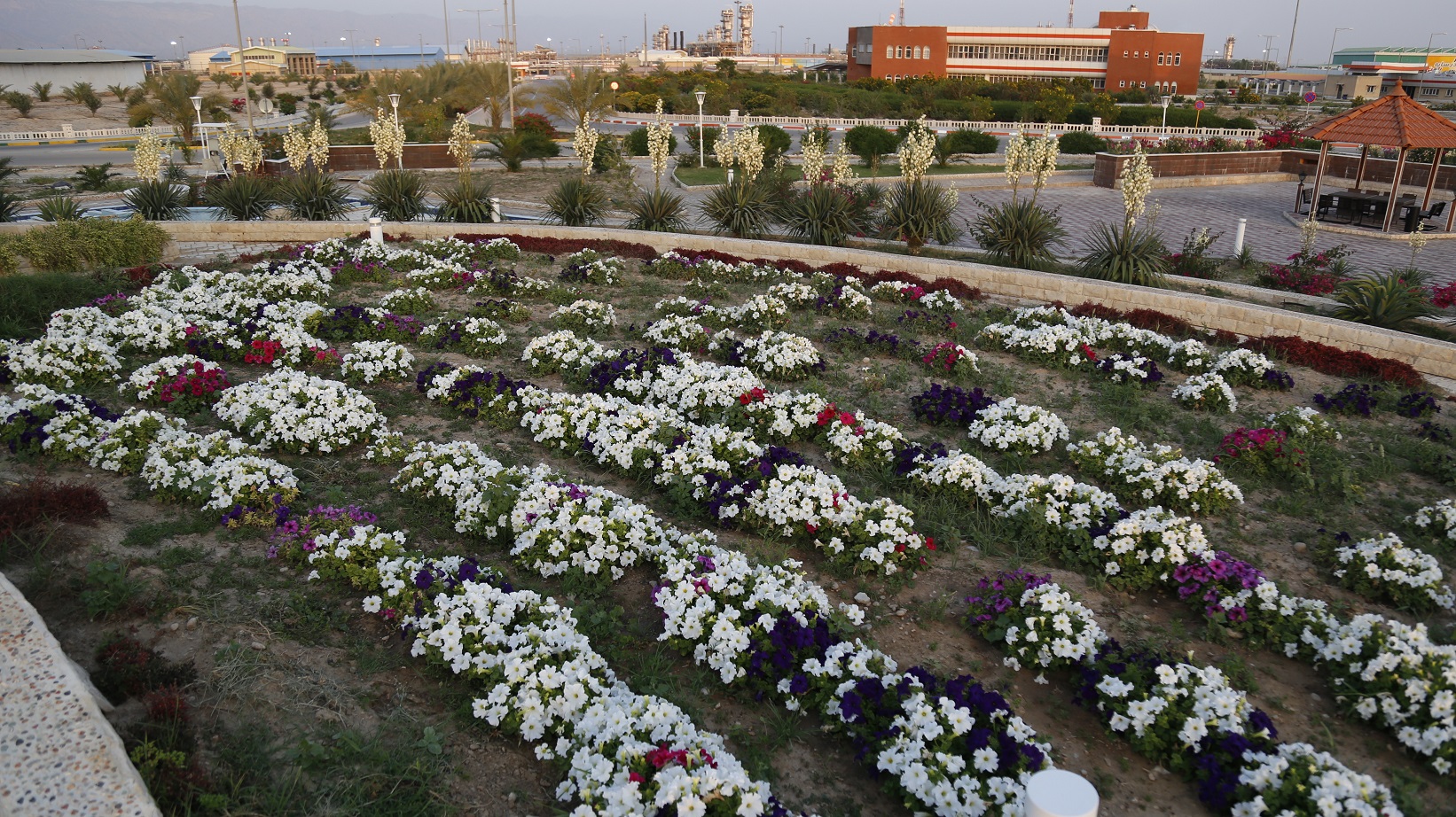 میدان طلوع8