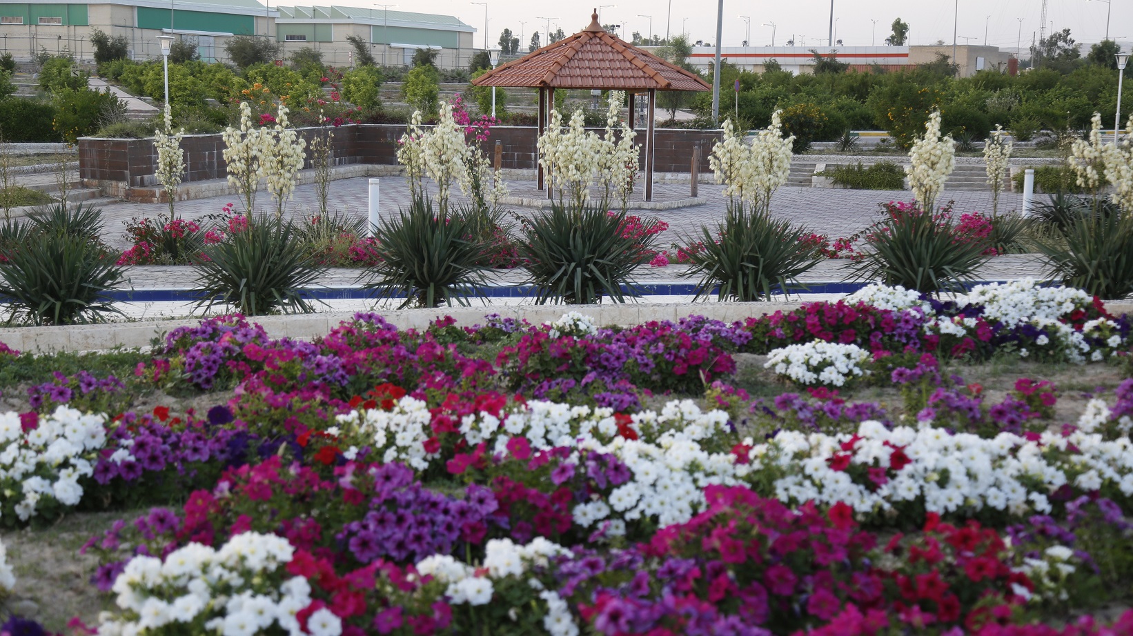 میدان طلوع10