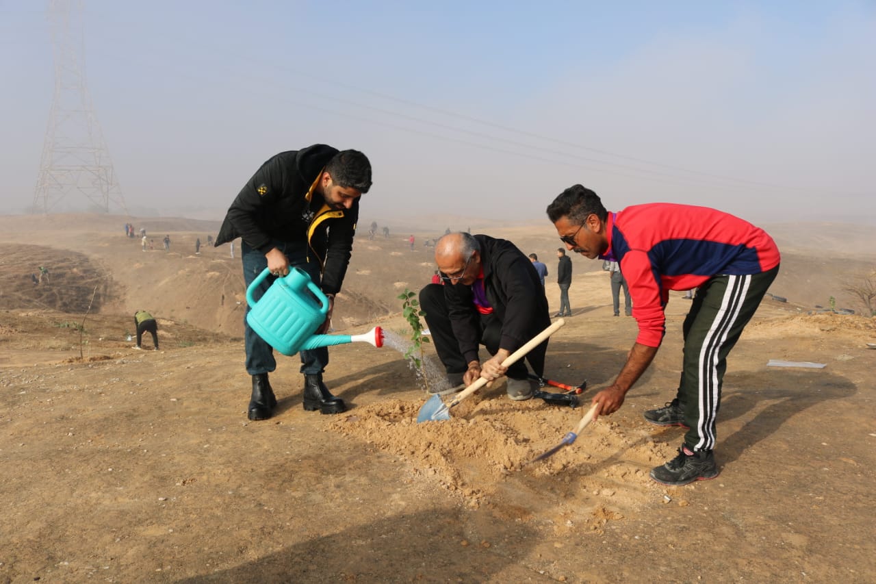 کاشت نهال لاسبید5