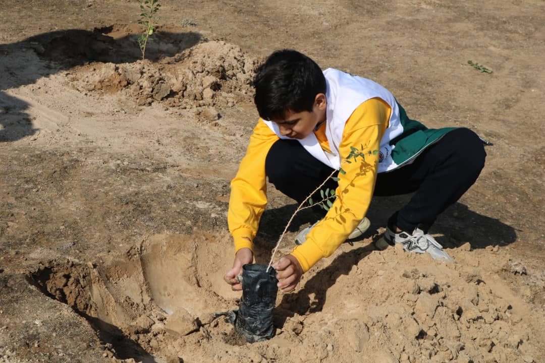 کاشت نهال لاسبید8