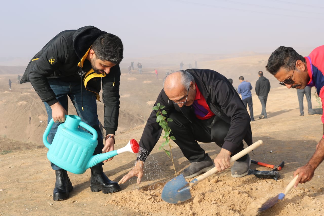 کاشت نهال لاسبید9