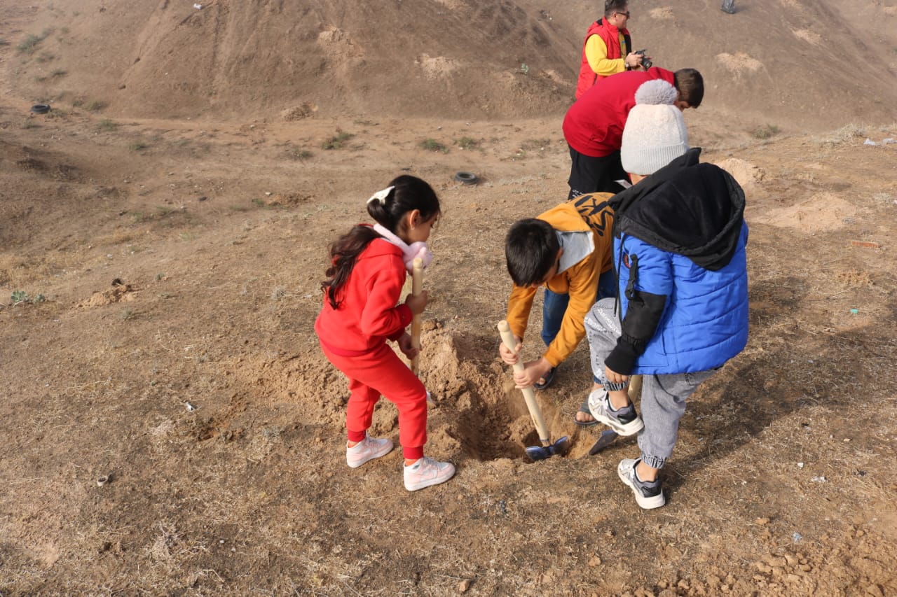 کاشت نهال لاسبید10