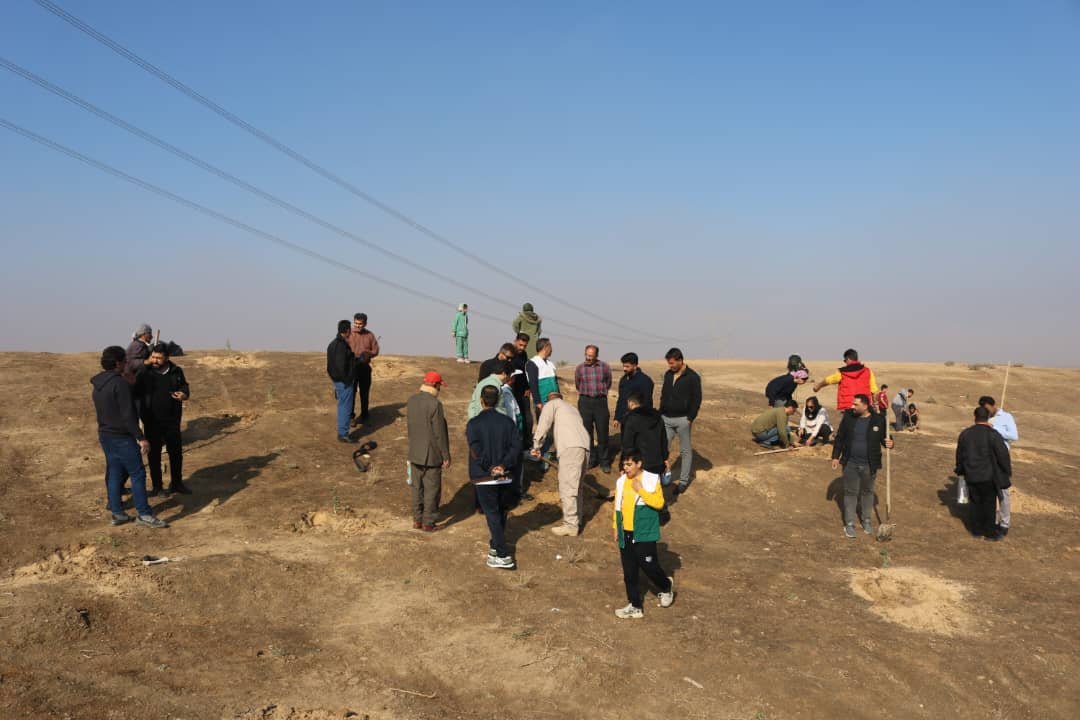 کاشت نهال لاسبید11