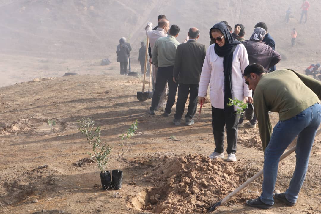 کاشت نهال لاسبید12