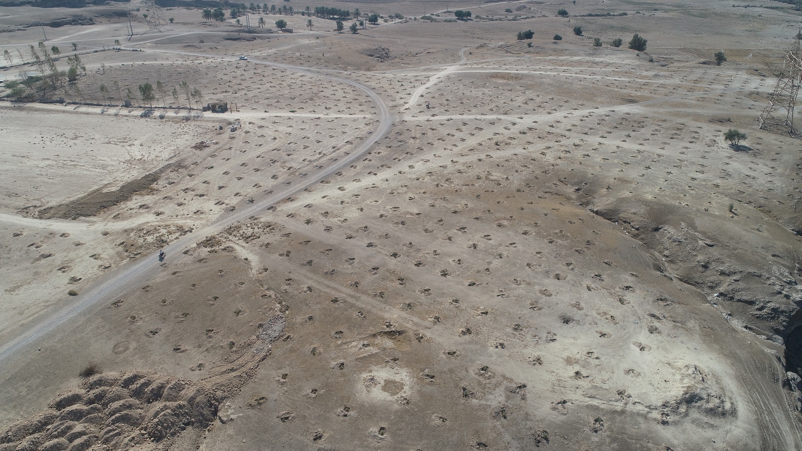 بوستان 5 هکتاری3