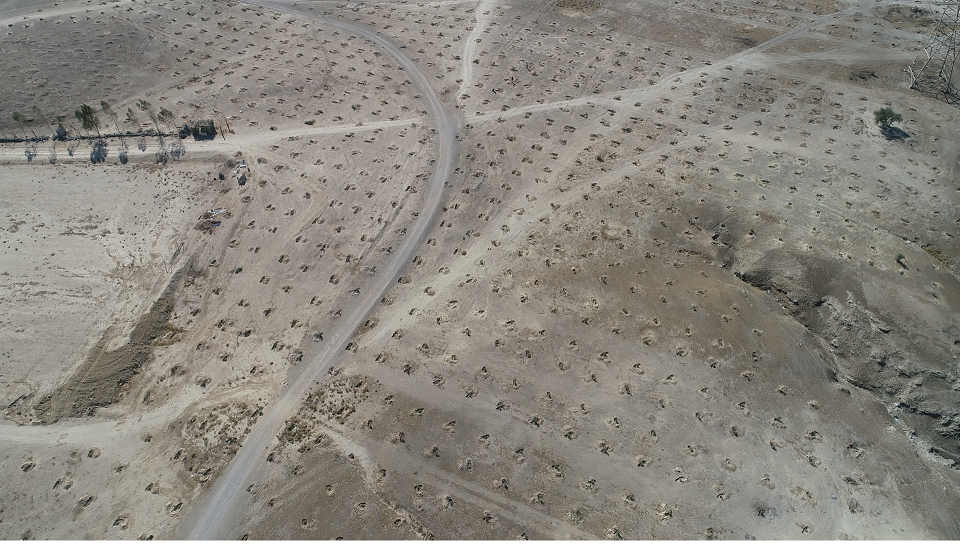 بوستان 5 هکتاری5