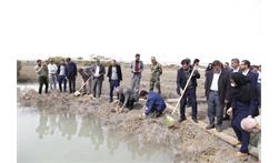 همت بلند بیدبلند خلیج فارس برای توسعه جنگل های حرا