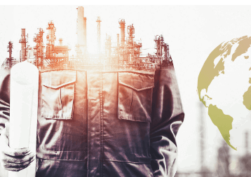 بید بلند پلاس