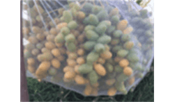 For the first time in the country, gas ultrasonic flowmeters were calibrated