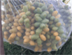 For the first time in the country, gas ultrasonic flowmeters were calibrated