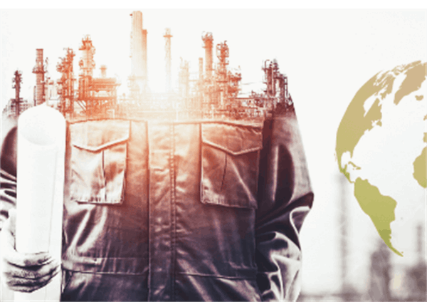 بید بلند پلاس